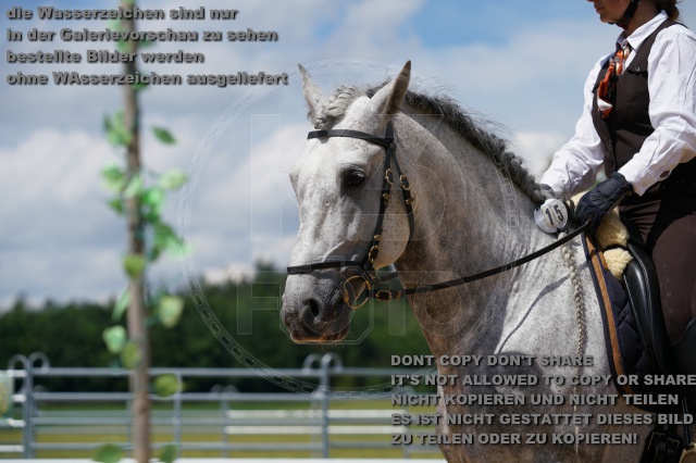 s_K3F04552.JPG